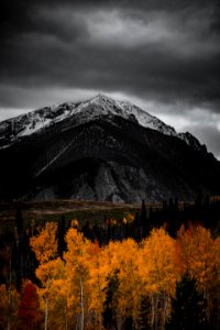 nathan-anderson-370285 
