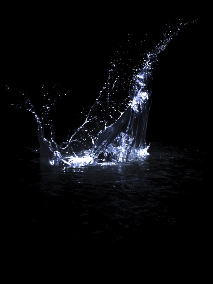 Isolated black background nature