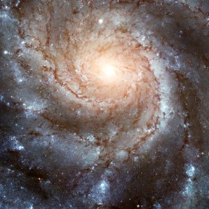 Spiral Galaxy M101 photo