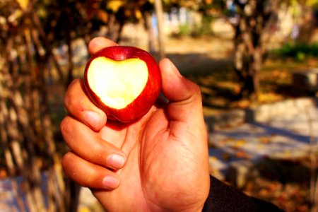 apple-2303212_1920 