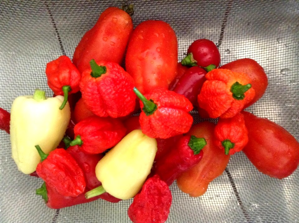peppers 