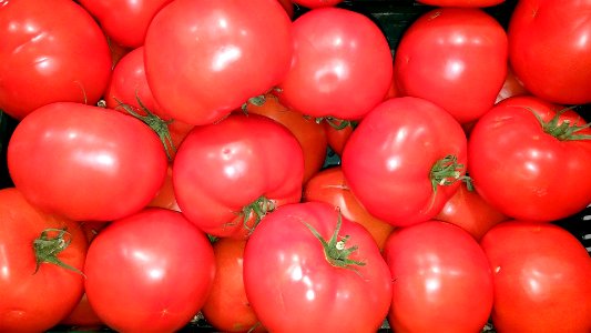 tomatoes-1562753_1920 