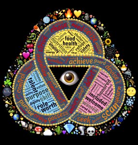 nutshell-2123103_1920 