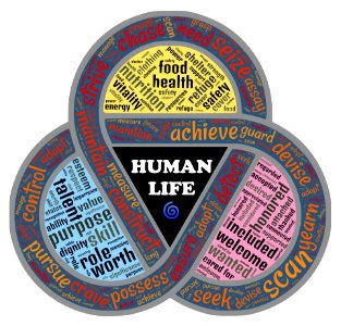 nutshell-2122598_1920 