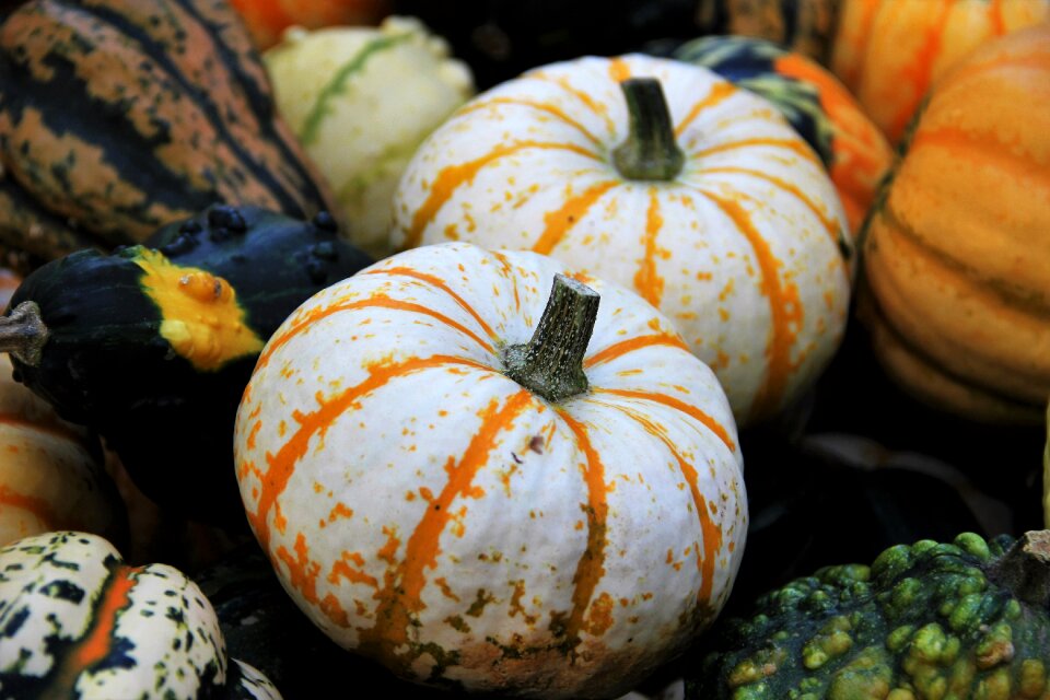 Halloween decoration multi coloured