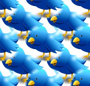 twitter-1138522_1920 