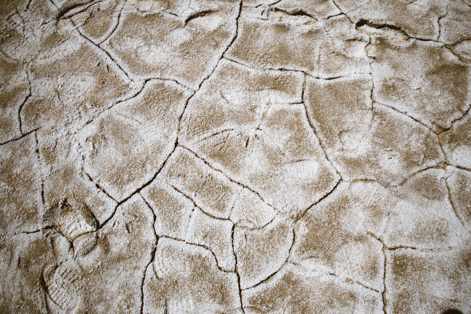 Barren cracks land