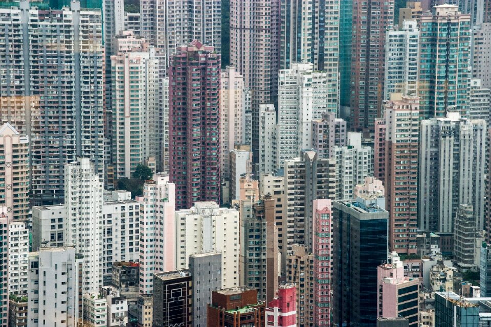 Day landscape view