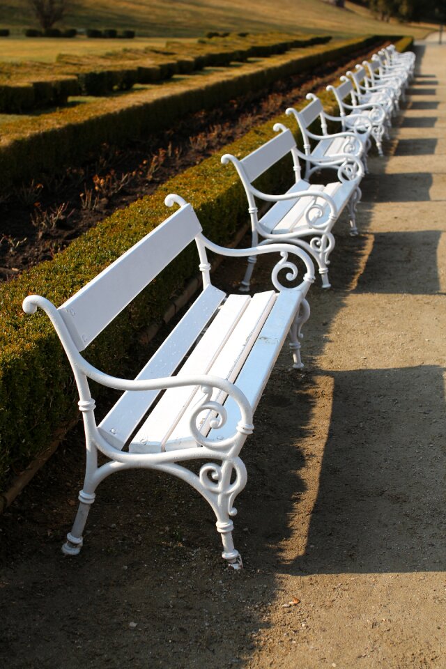 Sunny day long way the regularity of the