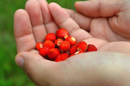 Fruits hands strawberries