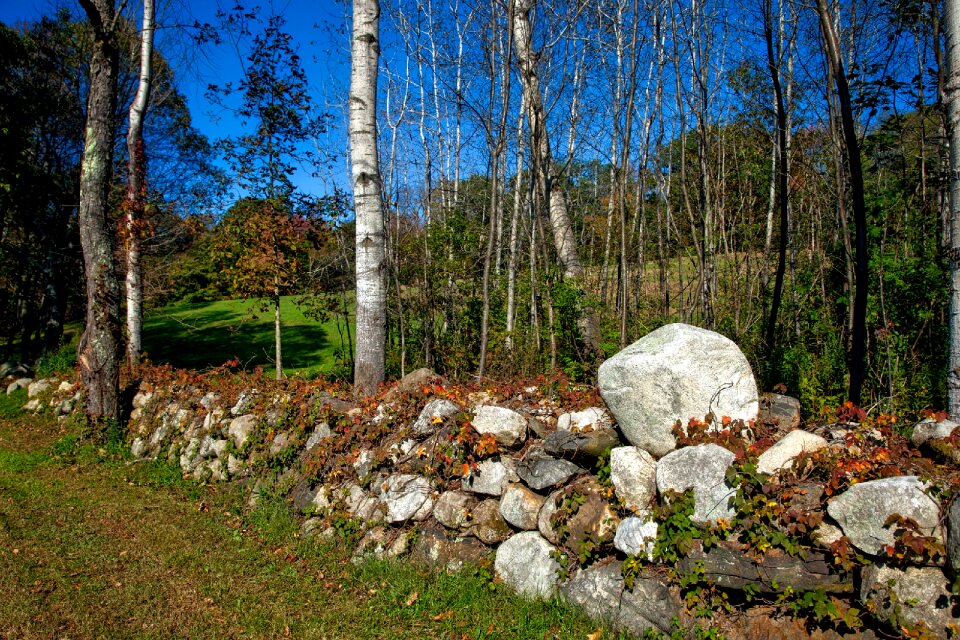 Boulders autumn fall