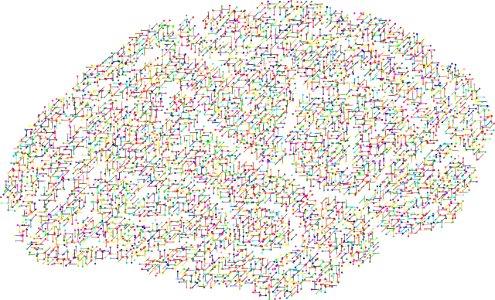 cranium-2099083_1280 
