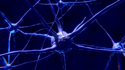 nerve-cell-2213009_1920 