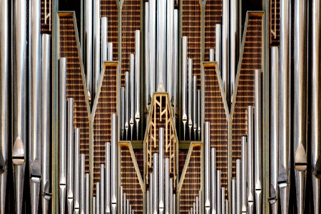 samuel-zeller-237359 