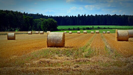 Agriculture round bales straw role