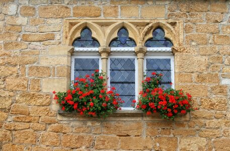 Window pierre flowers