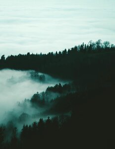 Fog mountain forest