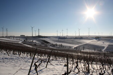 Snow winegrowing cold