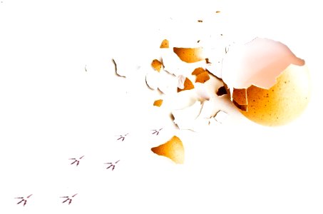 pixabay50046 