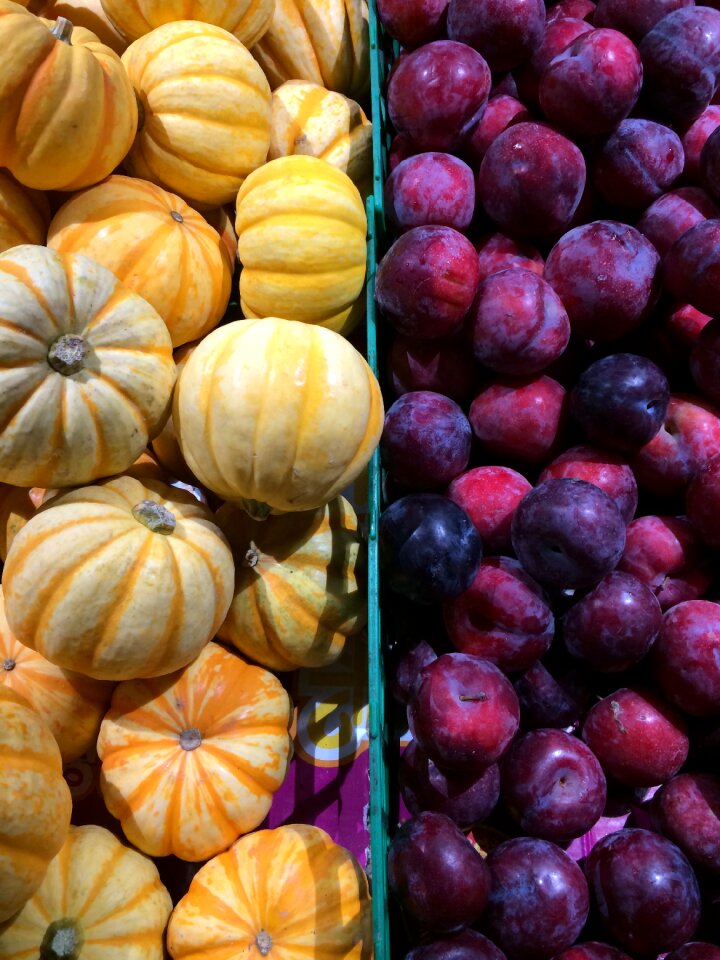 Vegetable pumpkin plum