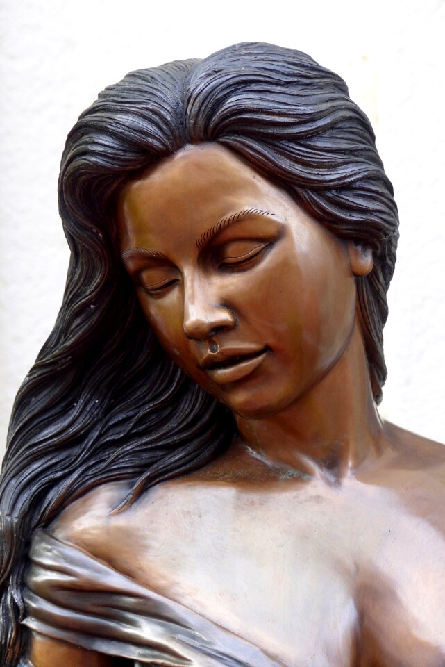 Woman bronze beauty