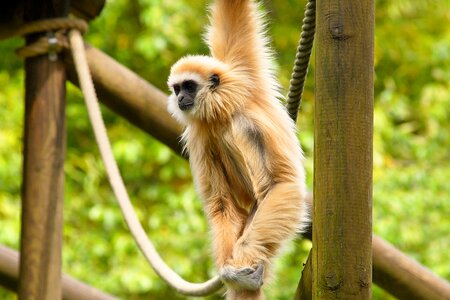 Nature animal world zoo