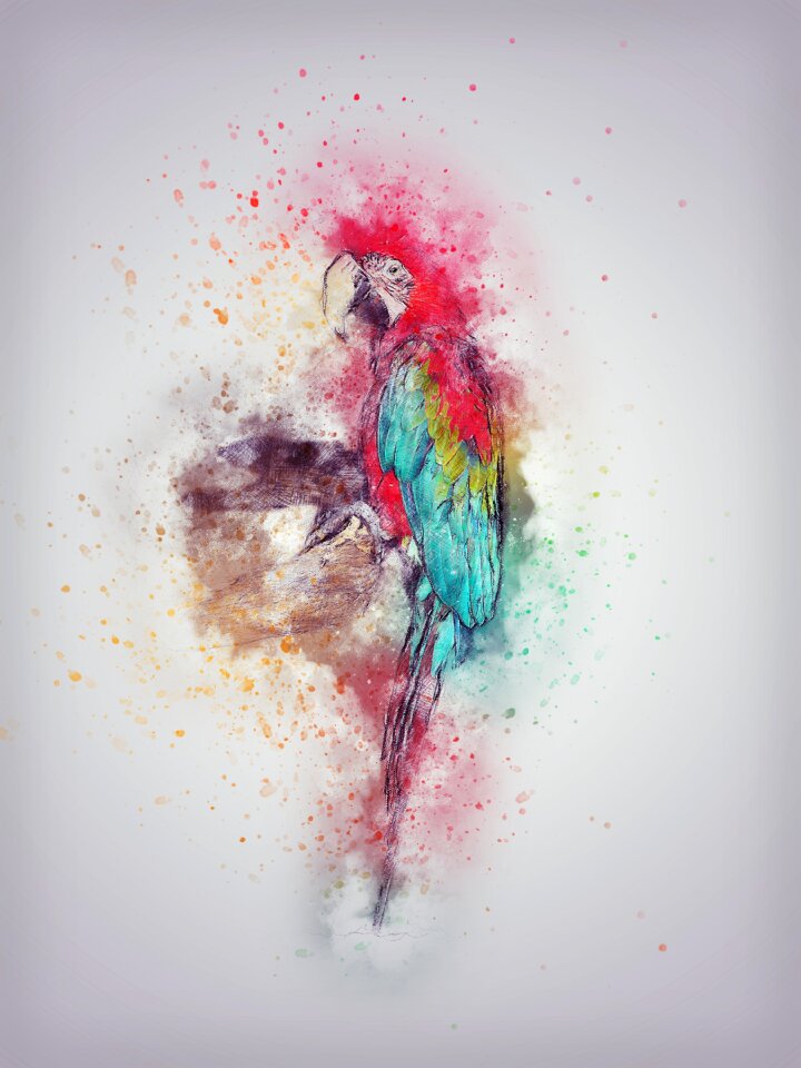 Art abstract nature
