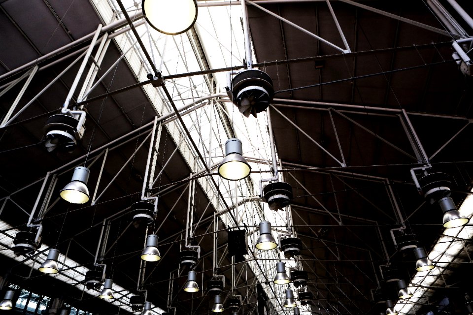 LifeOfPix00314 