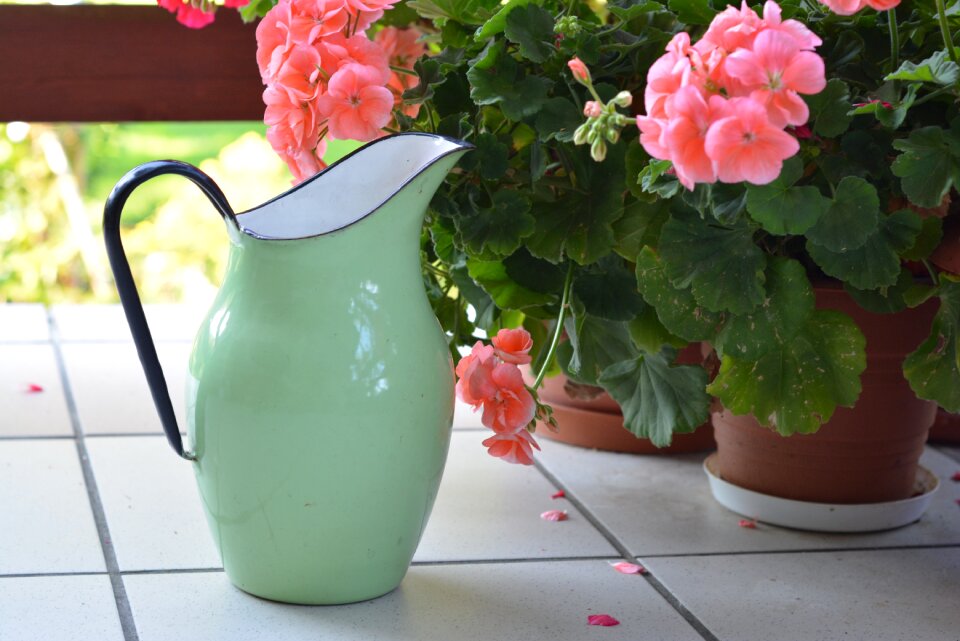 Metal jug watered watering