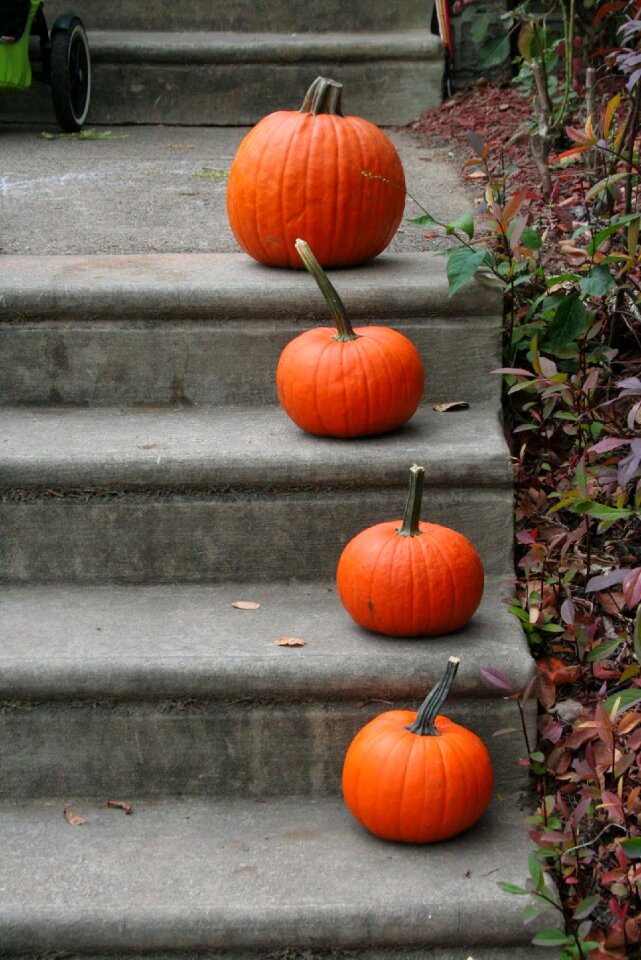 Halloween fall autumn