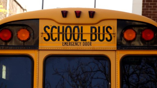 bus-school-school-bus-yellow-159658 photo