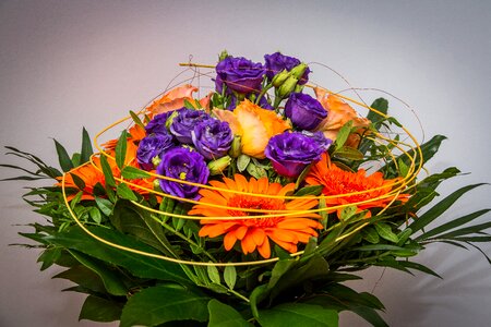 Decoration decorative strauss