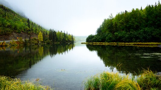 River outdoor grass