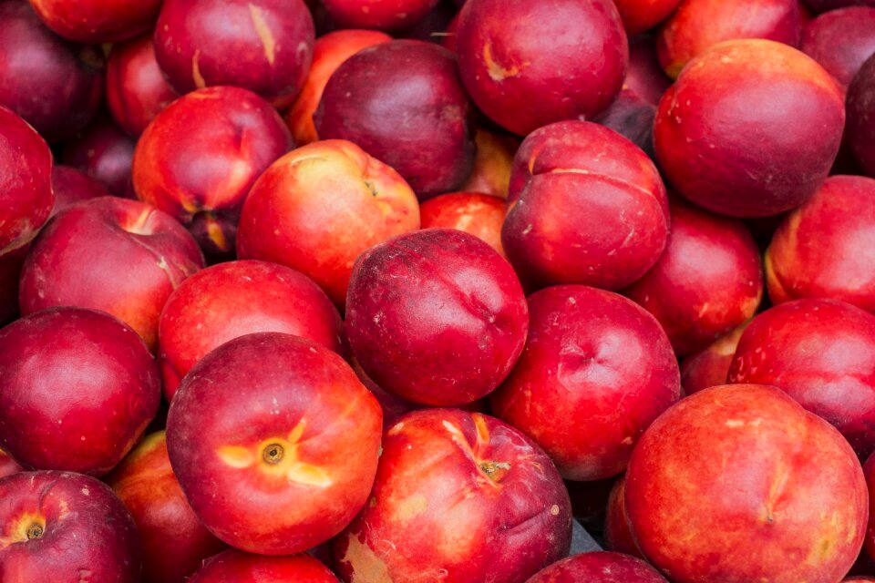 Nature nutrition vitamins