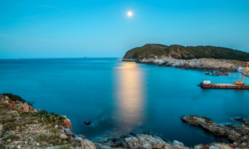 Moonlight 
