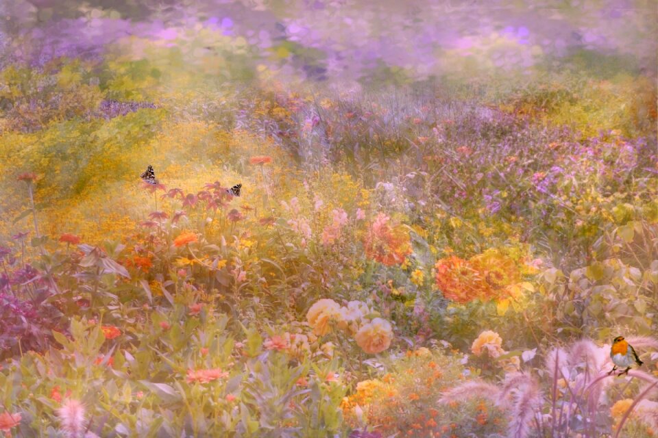 Background texture flower meadow