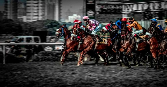 #cre8ivequest #motiomblur #3XSPUnity #horse #blackandwhite… 