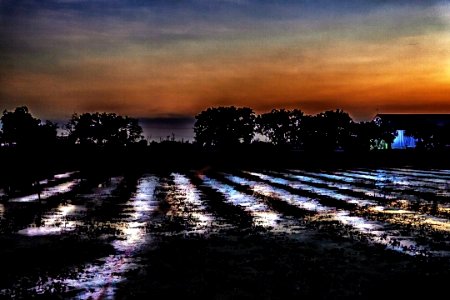 #cre8ivequest #sunset #fields #goldenhour #3XSPUnity #phot… 