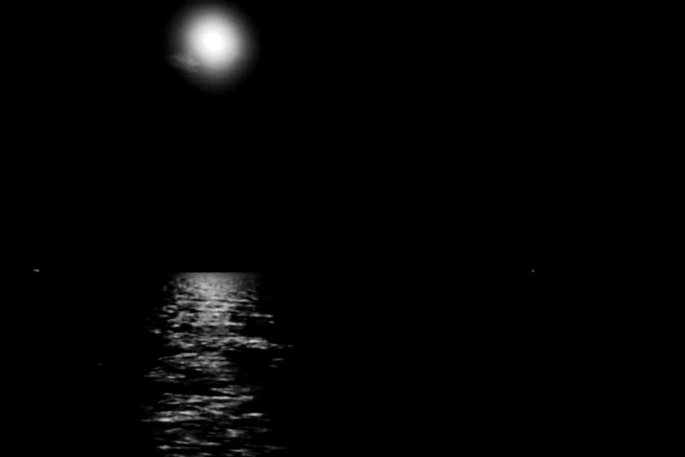 #cre8ivequest #3XSPUnity #blackandwhite #bnw #monochrome #… 