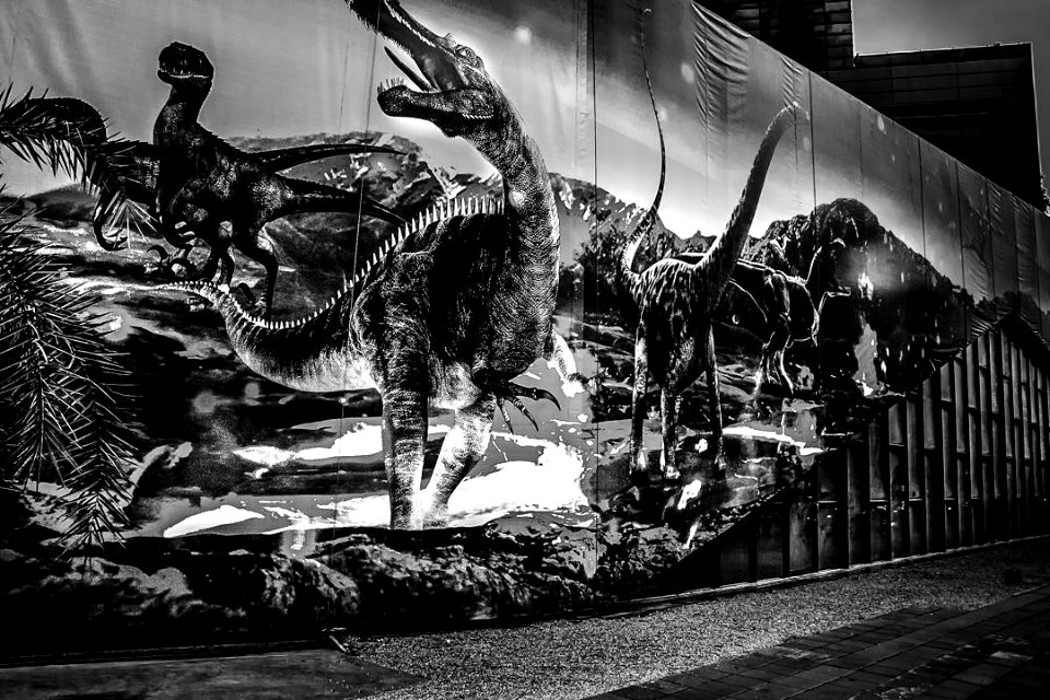 #cre8ivequest #blackandwhite #bnw #monochrome #instablacka… 