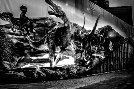 #cre8ivequest #blackandwhite #bnw #monochrome #instablacka… 