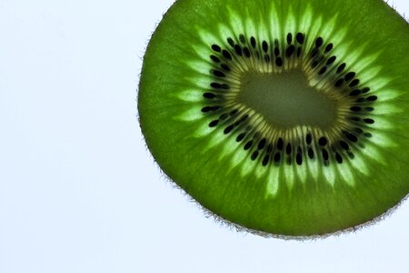 Green fresh transmitted light