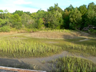 South Carolina 