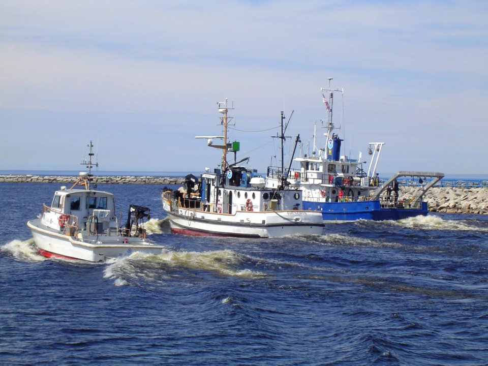 World Maritime Day 