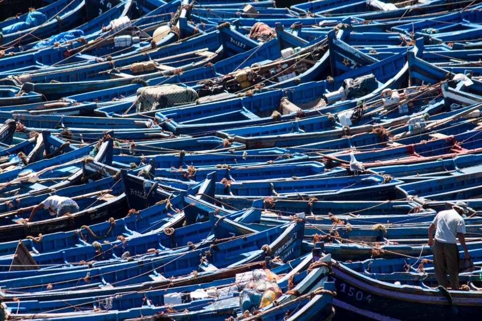 Boats in the harbor blue boats fisherman