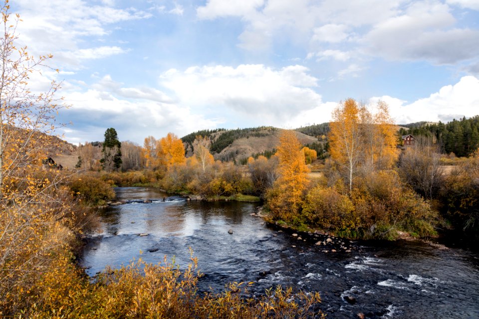 Autumn along the Colorado River in Grand County, Colorado.… 