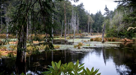 Lost Lake - near Laurel Grove, Oregon photo