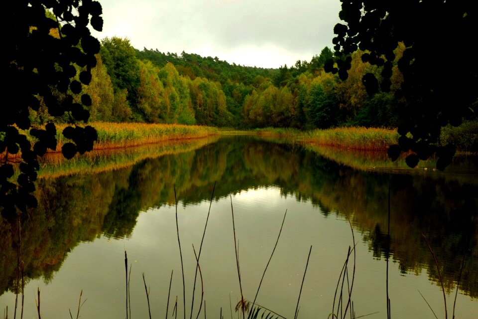 View mirroring rest