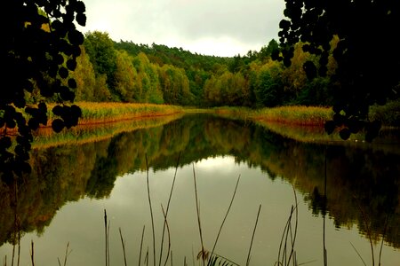 View mirroring rest photo