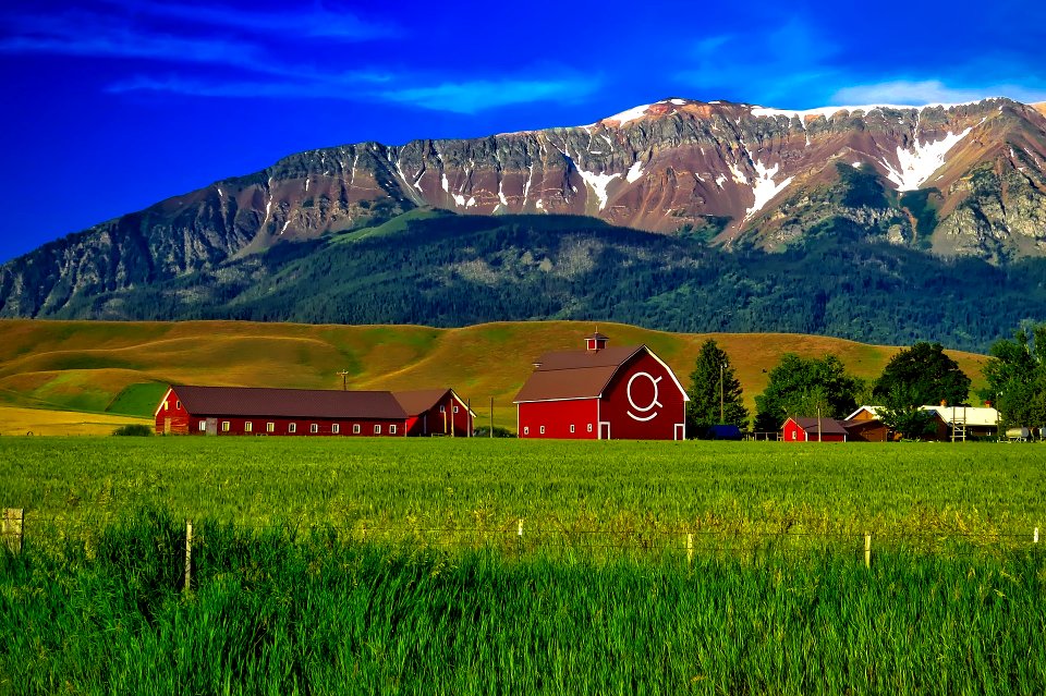 Oregon 